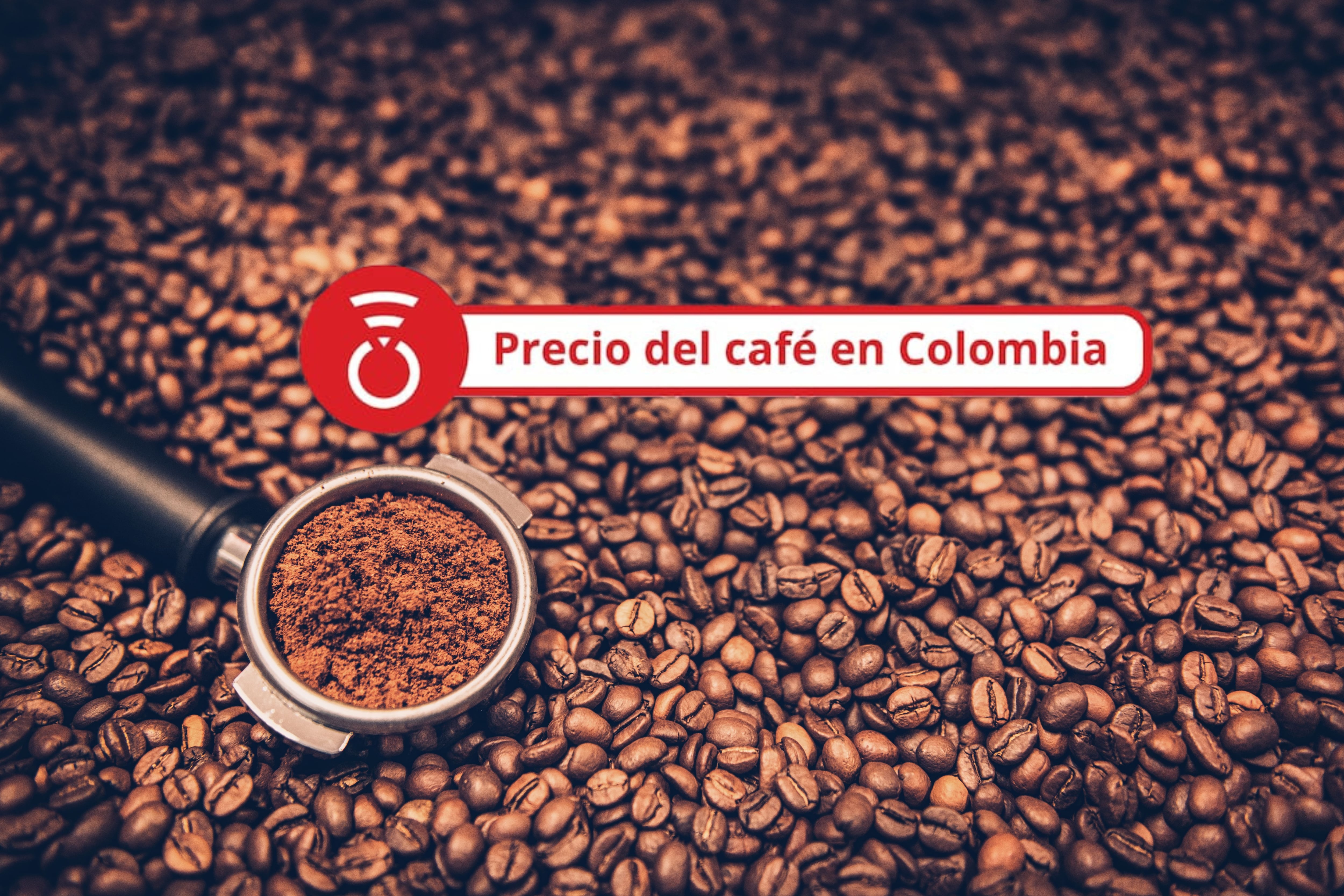 Granos de café tostados con soporte de filtro. Foto Getty Images