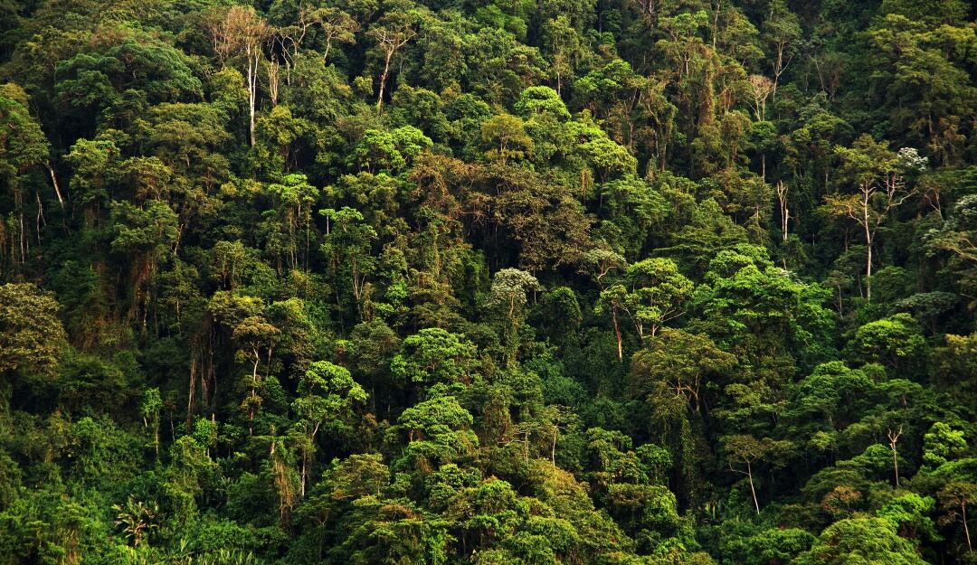 Foto de refrencia paísajes colombianos