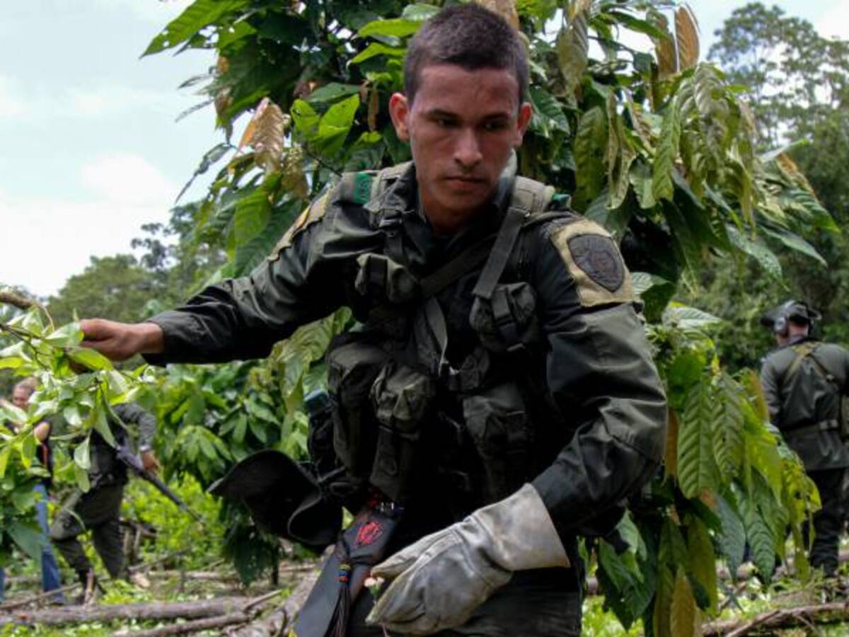 Estados Unidos entregó a Colombia equipos para erradicación manual de coca
