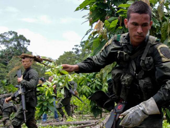 Estados Unidos entregó a Colombia equipos para erradicación manual de coca