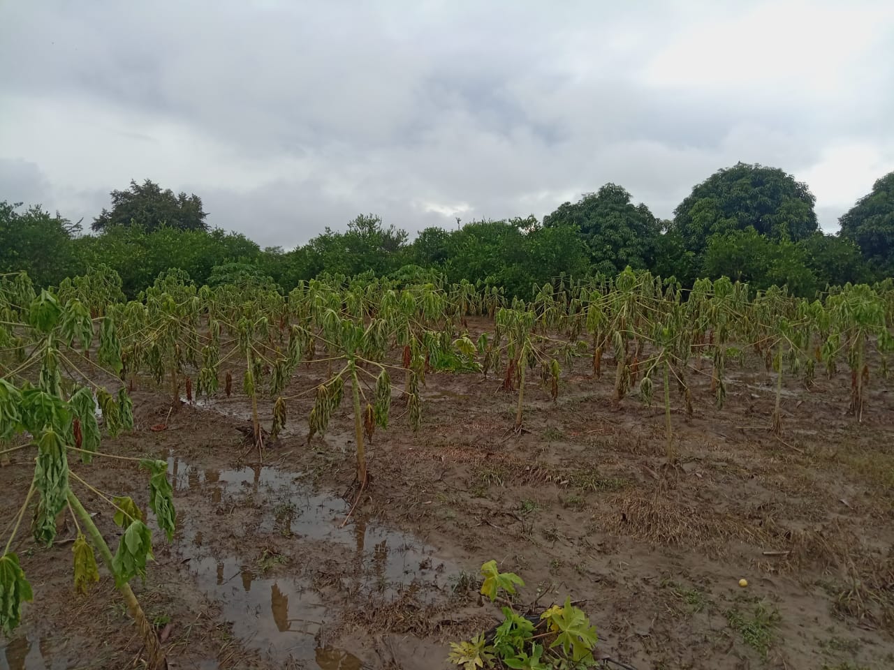 La situación generó alarma en comunidades rurales. Foto oficina Gestión de Riesgo.