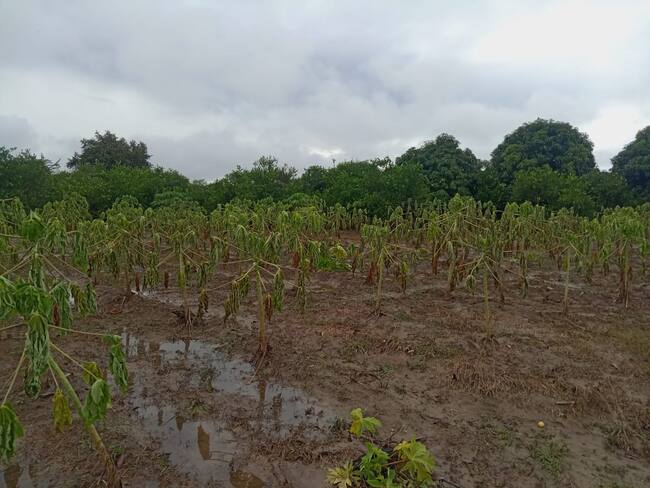 La situación generó alarma en comunidades rurales. Foto oficina Gestión de Riesgo.