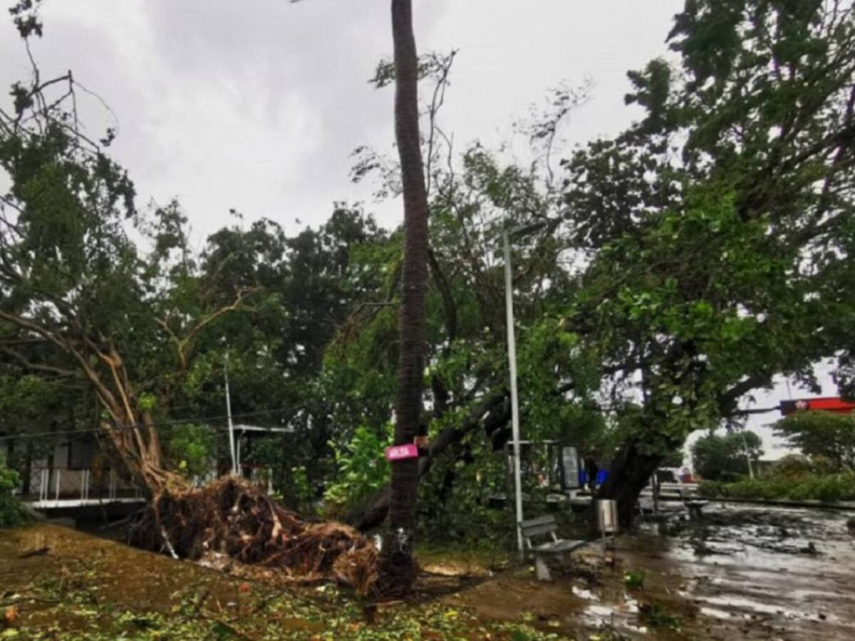 Avanza atención de las autoridades en San Andrés tras paso de Iota