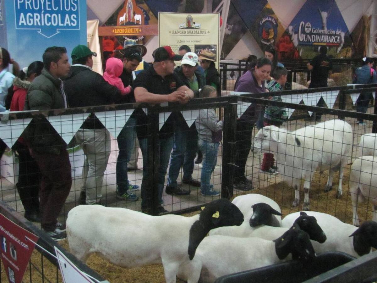 Título de la imagen