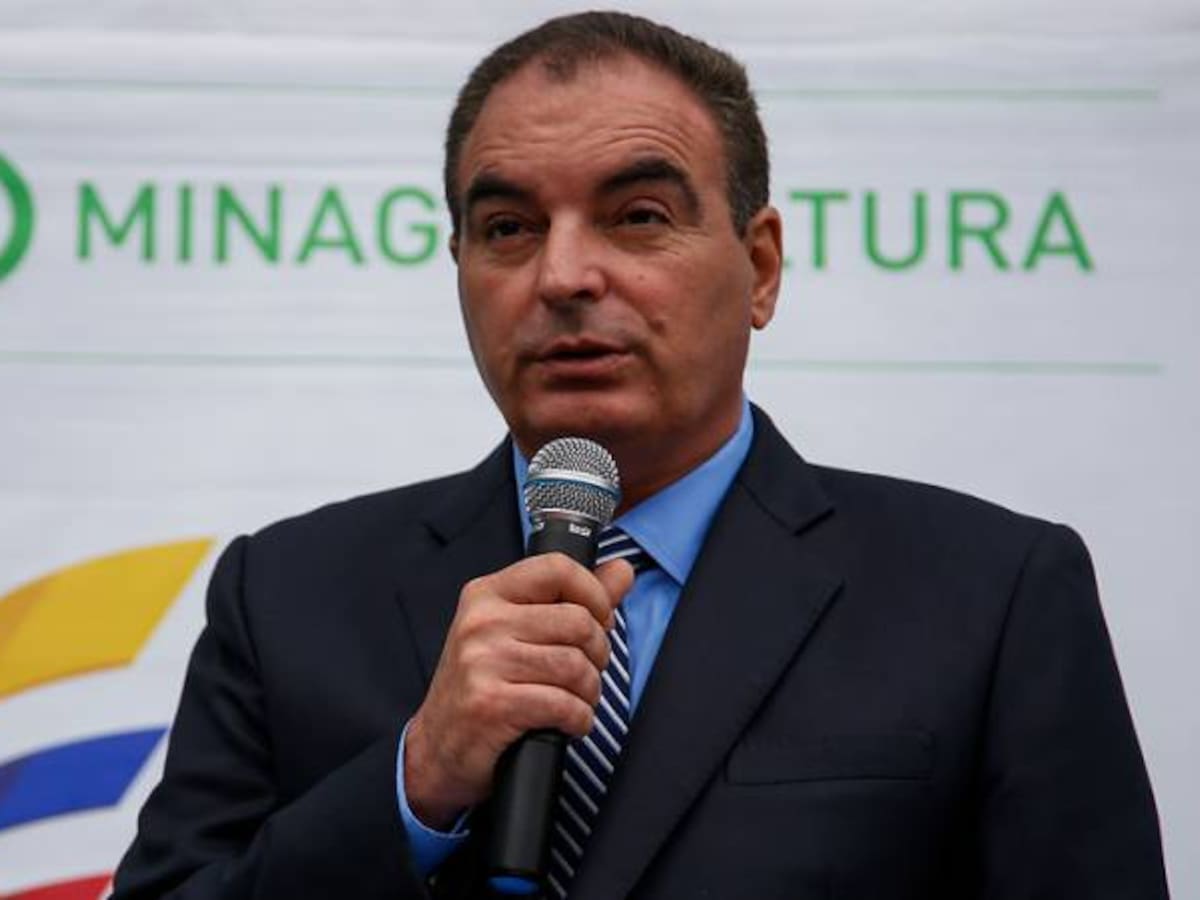 Gobierno detectó especulación con precios de alimentos