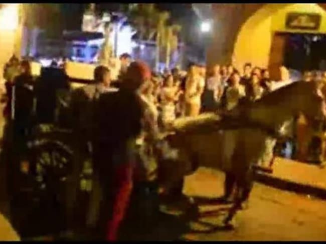 Polémica en Cartagena por nuevo caso de caballo cochero que se desploma
