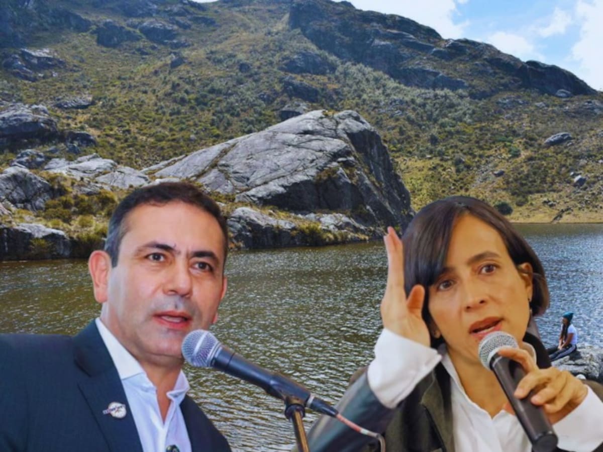 Carta del gobernador de Santander a Susana Muhamad: Pide suspender zonas de reserva en Santurbán