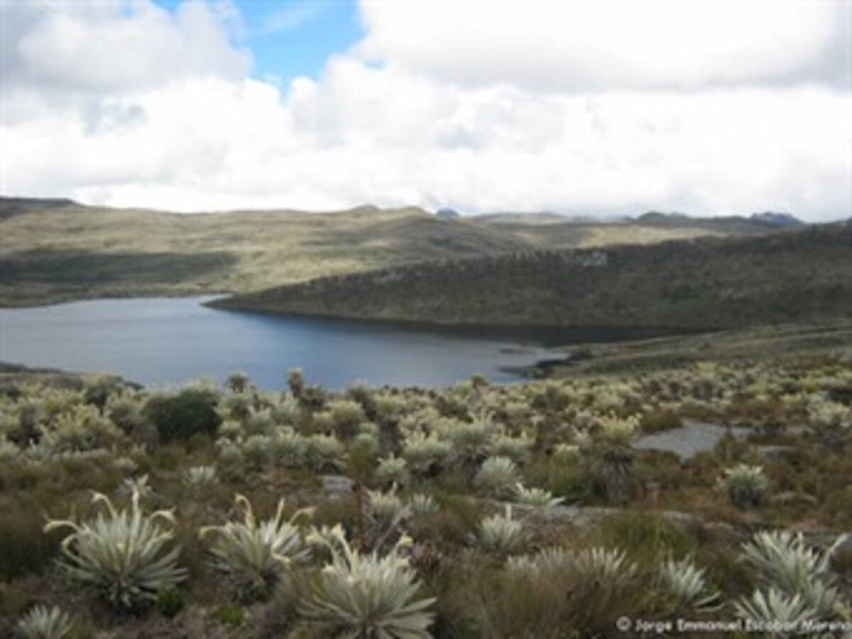 Petro pide al Incoder delimitar la zona de reserva campesina entre Sumapaz y Usme