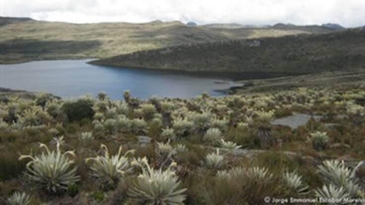 Petro pide al Incoder delimitar la zona de reserva campesina entre Sumapaz y Usme