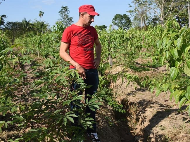 Proyecto productivo de exFarc en Arauca. Foto: Agencia Anadolu