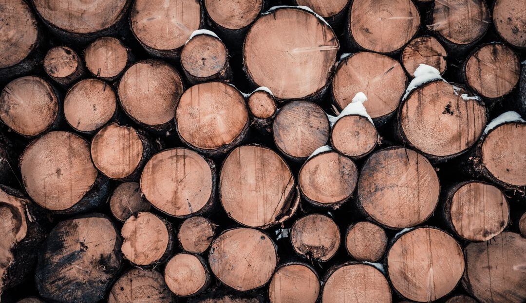 Producción maderera