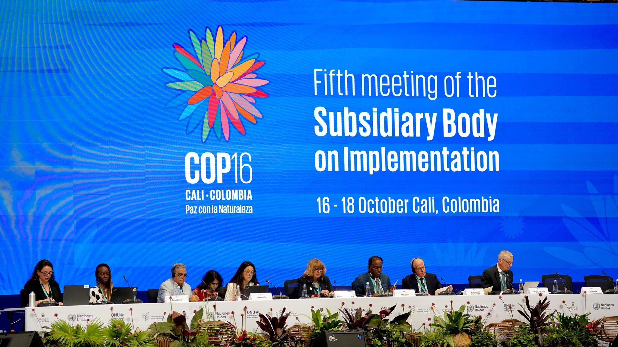 Este miércoles 16 de octubre se instaló la Quinta reunión del Órgano Subsidiario, en la Zona Azul del Centro de Eventos Valle del Pacífico, de cara a la COP16.
