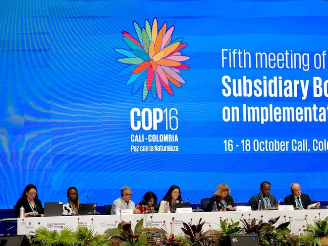 Este miércoles 16 de octubre se instaló la Quinta reunión del Órgano Subsidiario, en la Zona Azul del Centro de Eventos Valle del Pacífico, de cara a la COP16.