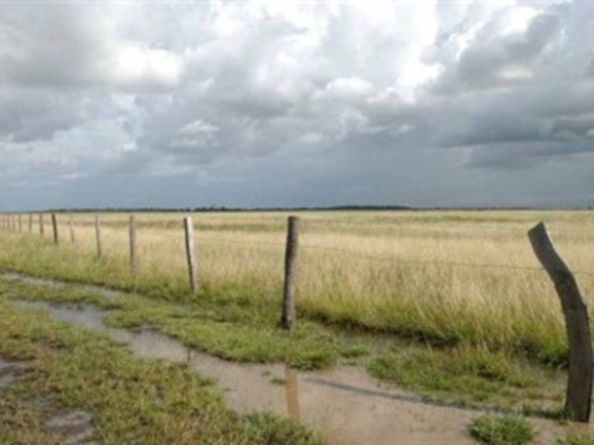 Se enreda proyecto de ley sobre baldíos