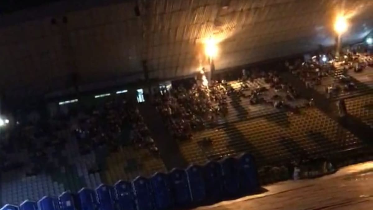 Directora Corpocultura