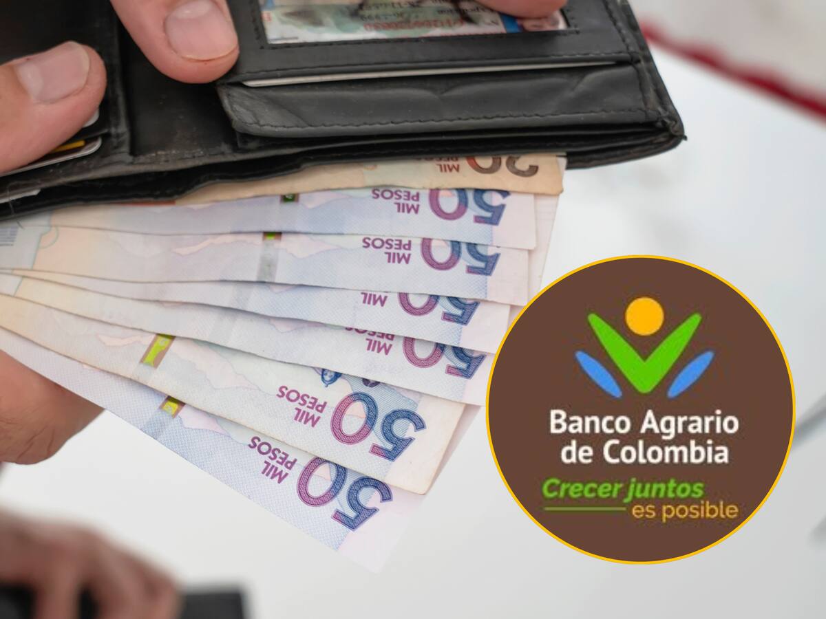 Banco Agrario anuncia plan de ayudas a los arroceros