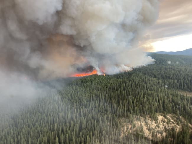 Incendios en Canadá durante 2023.
(Foto:   BC Wildfire Service/Anadolu Agency via Getty Images)