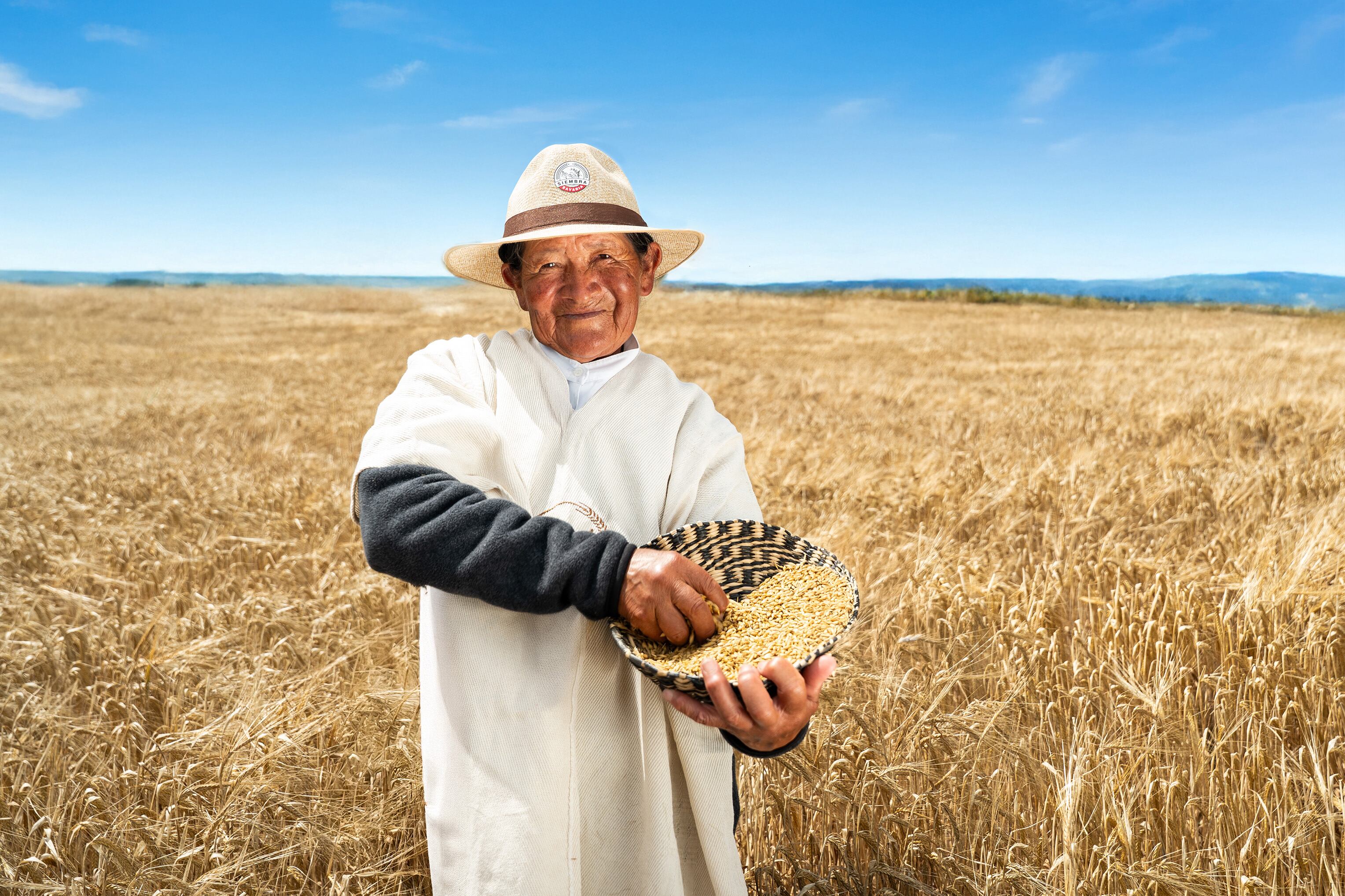 En el departamento de Boyacá ya se han beneficiado varias familias de agricultores. Foto | Bavaria