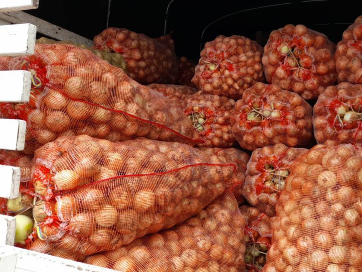 Muy poca cebolla se vendió en la “Cebollatón”