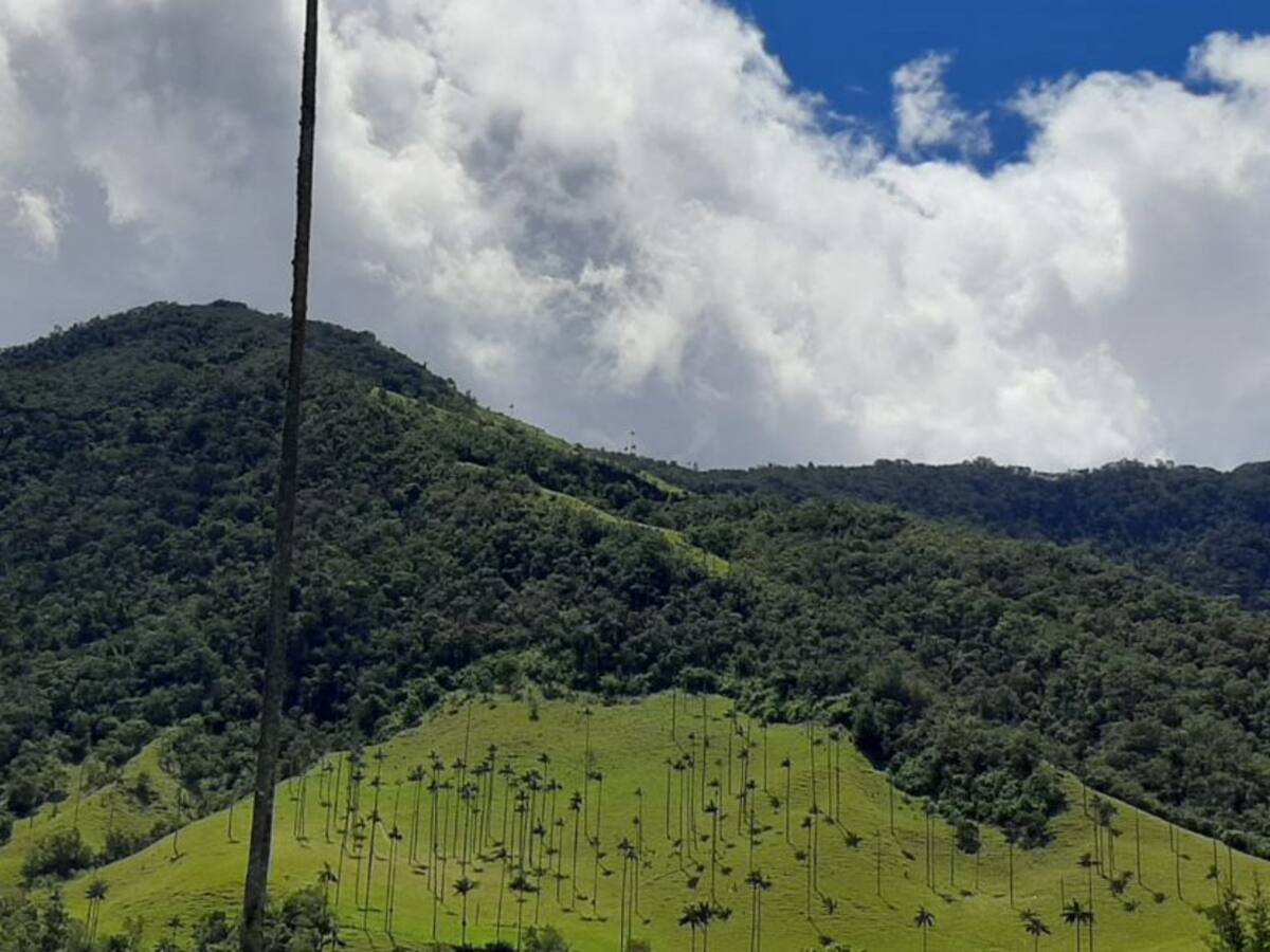 Lunes 2 de agosto, las noticias más importantes de Armenia y Quindío