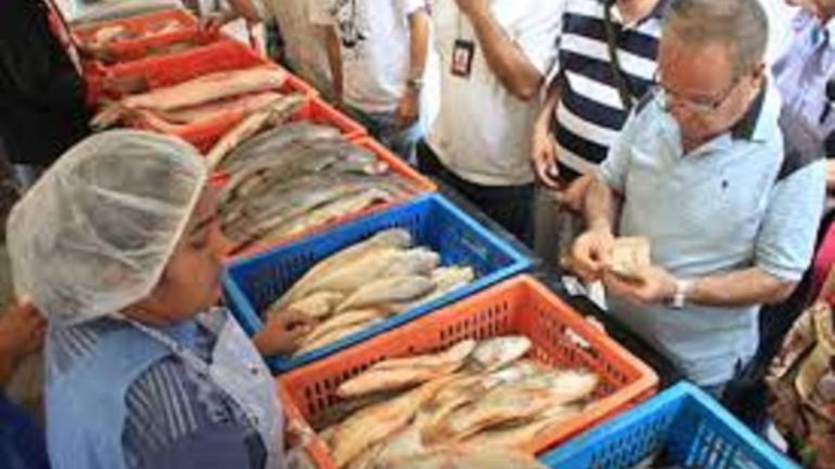 Solo un 20% de los piscicultores del Huila están formalizados