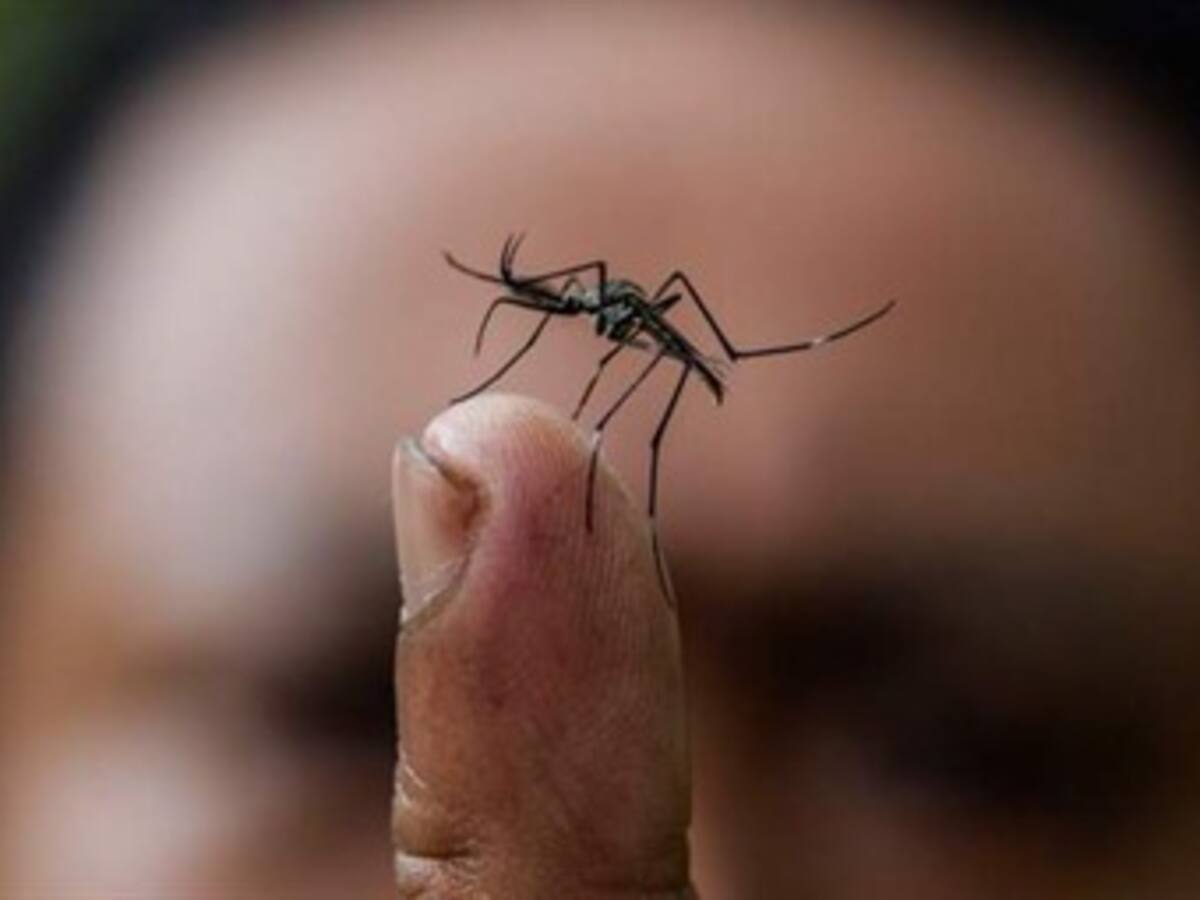 Alerta en Venezuela por incremento en casos de dengue