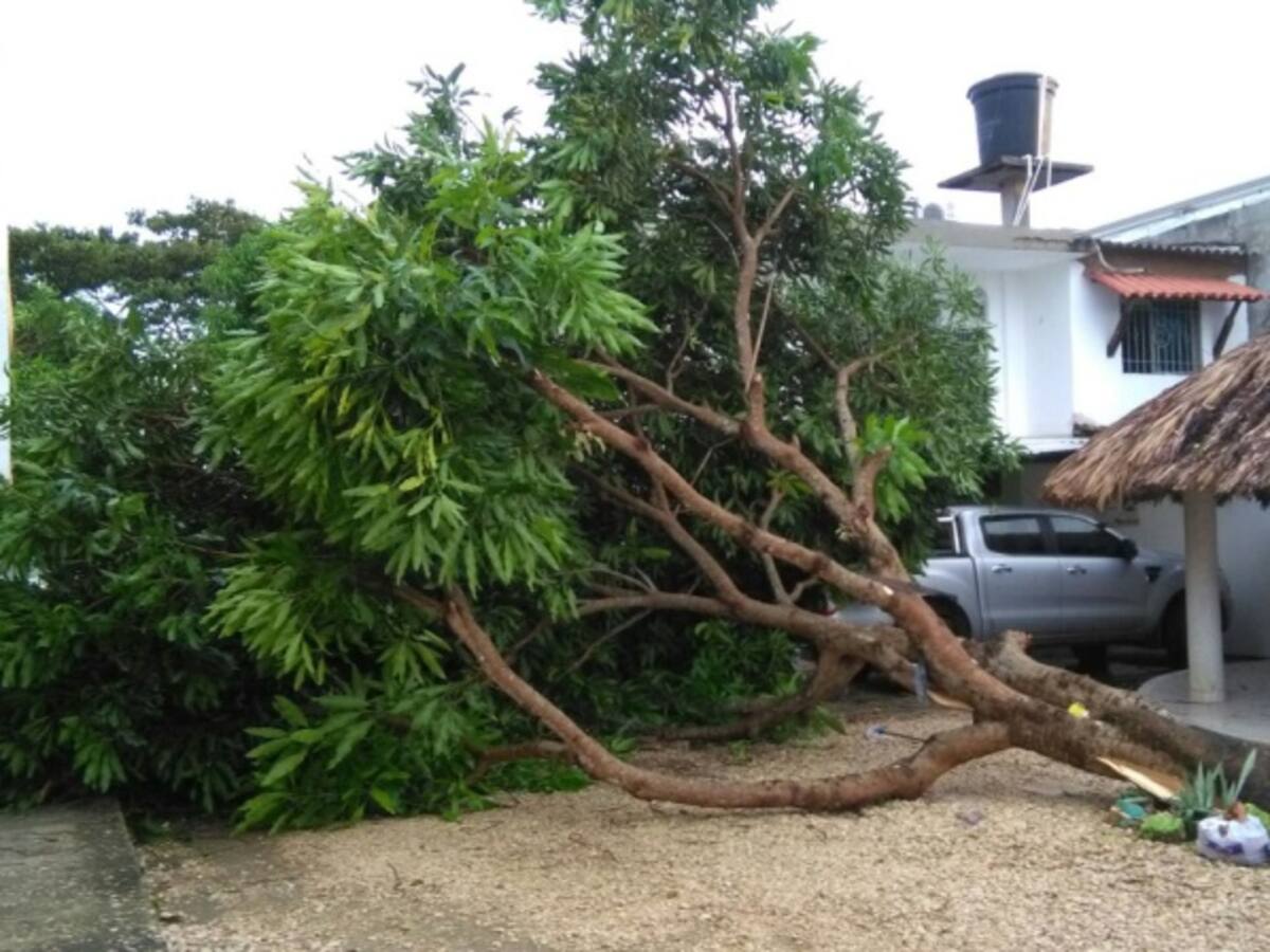 Las lluvias y fuertes vientos generan emergencias en Sincelejo