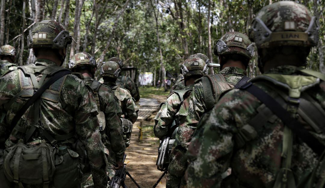 Imagen de referencia.