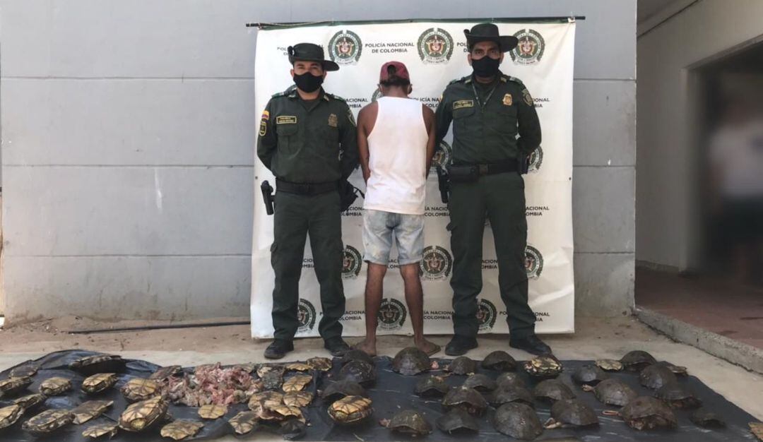 Capturado por sacrificar hicoteas en zona rural de Pivijay