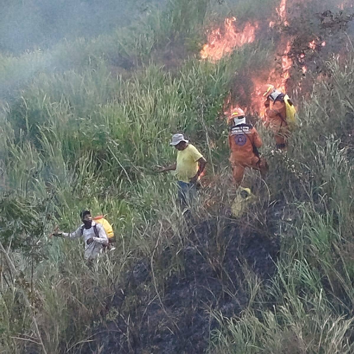 Incendio forestal consumió cerca de 30 hectáreas en finca de San Juan Nepomuceno, Bolívar