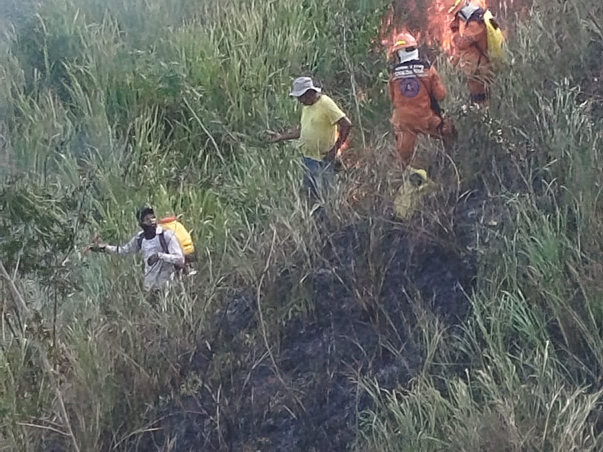 Incendio forestal consumió cerca de 30 hectáreas en finca de San Juan Nepomuceno, Bolívar