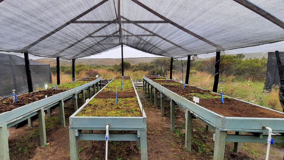 CorpoBoyacá firma convenios para restauración ecológica en el departamento