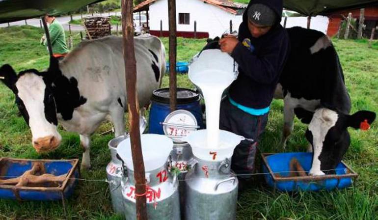 Producción de leche
