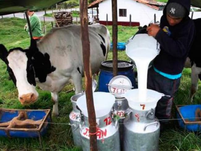 Inflación afectó el precio y consumo de lácteos en Colombia
