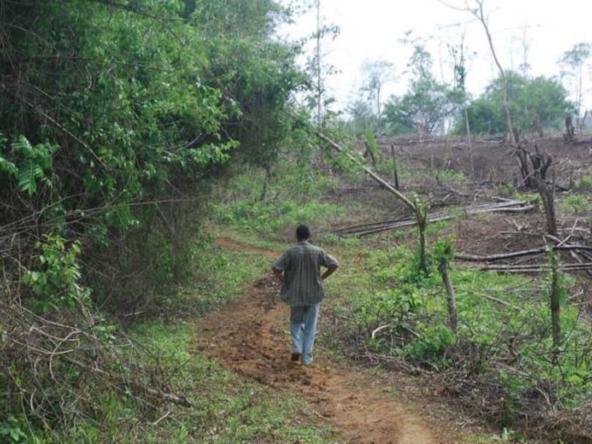 Gobierno no ha cumplido metas de reparación a víctimas del conflicto armado