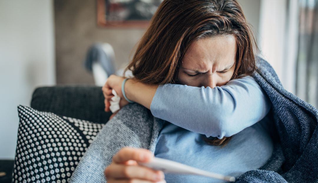 Imagen de referencia