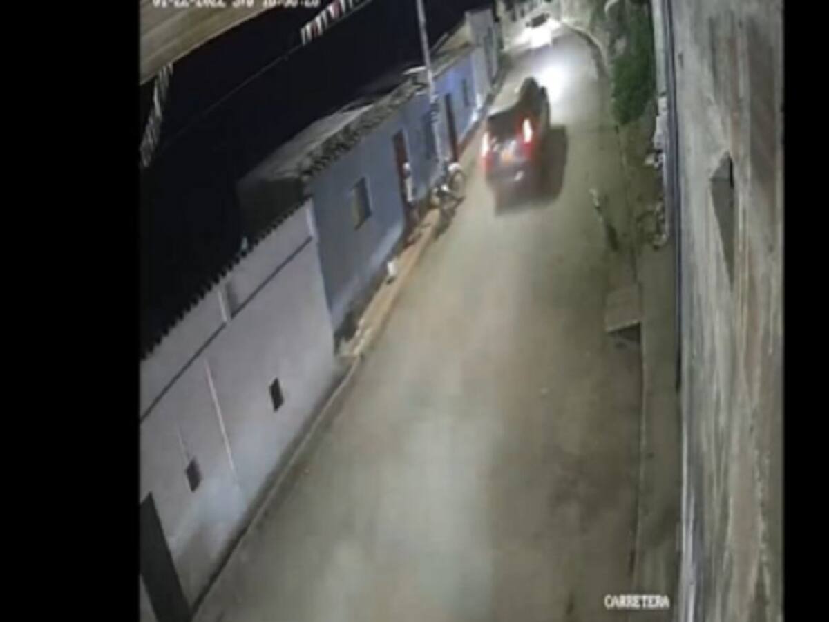 Animalistas rechazan la muerte de un canino en el municipio de Toledo