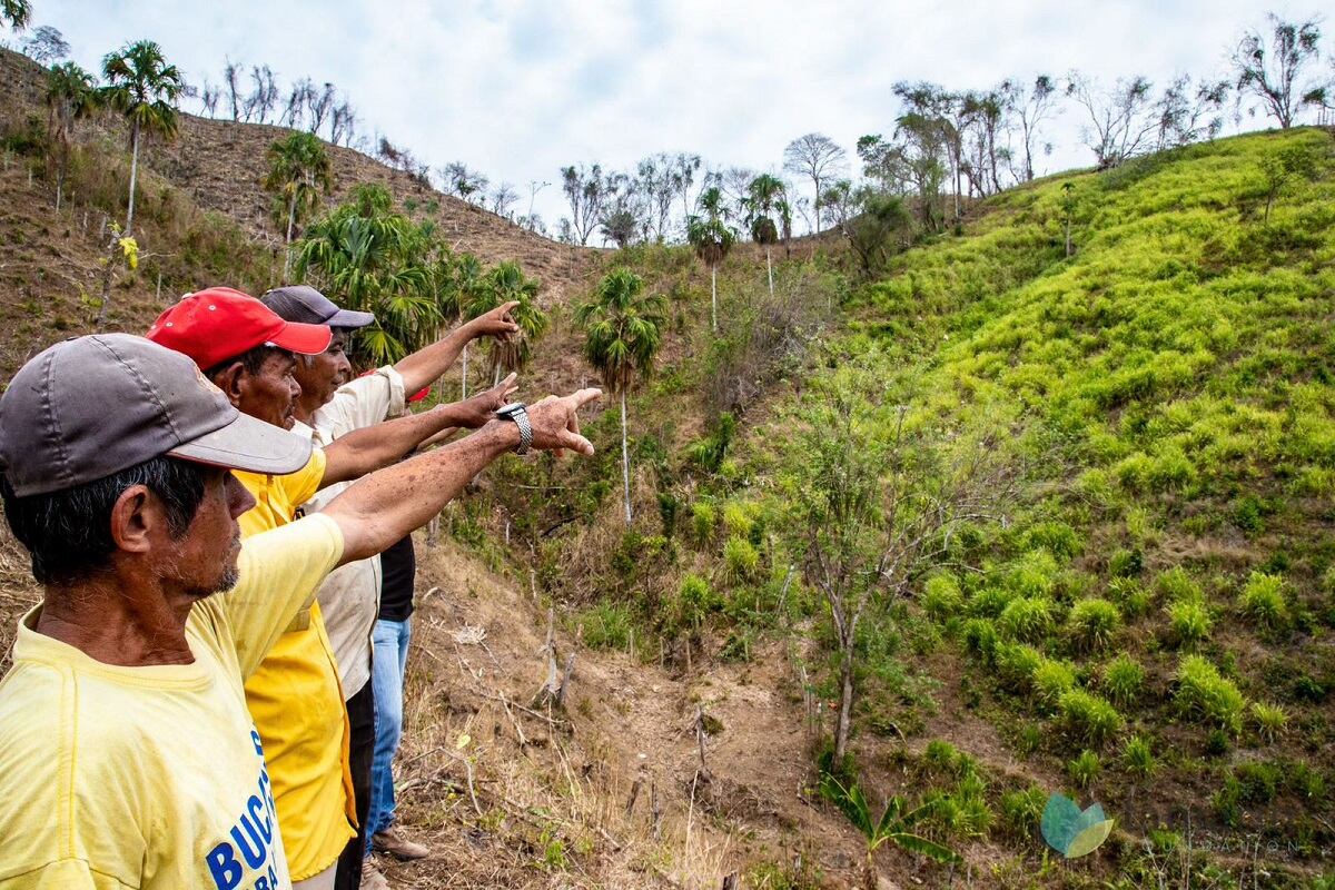 Fundación Santo Domingo