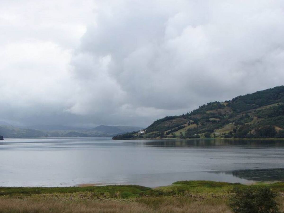 Lago de Tota: Defensoría insiste a la Corte revisar tutela por plomo
