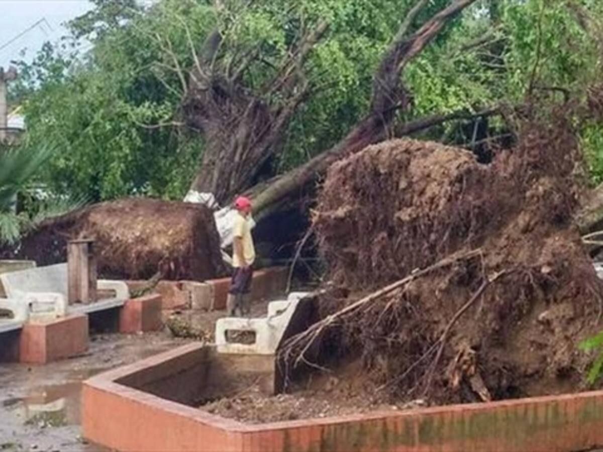 Unas 300 viviendas destechadas por vendavales en Unguía, Chocó
