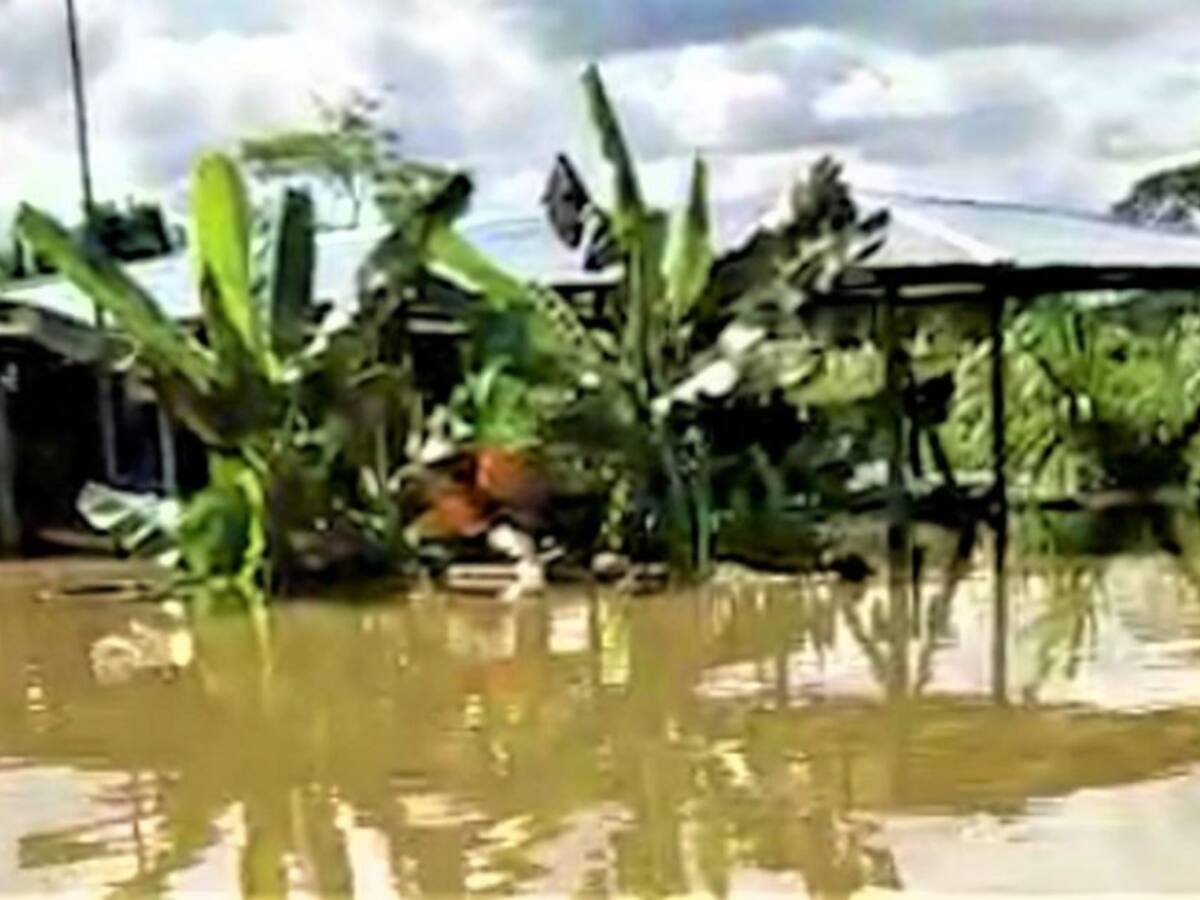 Emergencias por lluvias dejan más de 3.500 damnificados en Timbiquí, Cauca