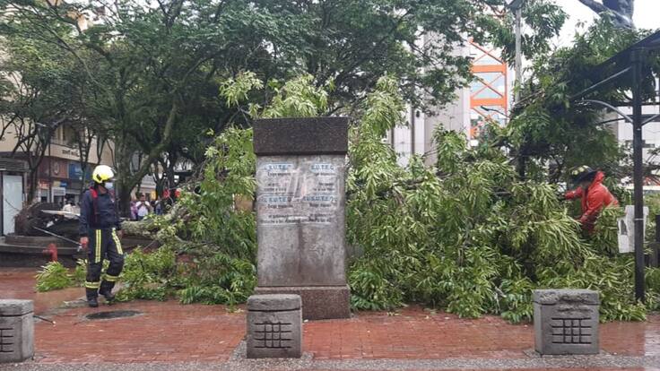 Director de Planeación, Diego Tobón