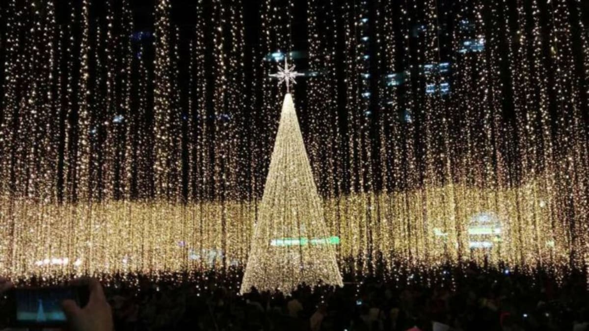 Se enciende el alumbrado navideño en Pereira
