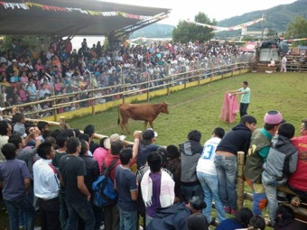 En el norte de Nariño se realiza la cuarta feria agropecuaria y la exposición equina