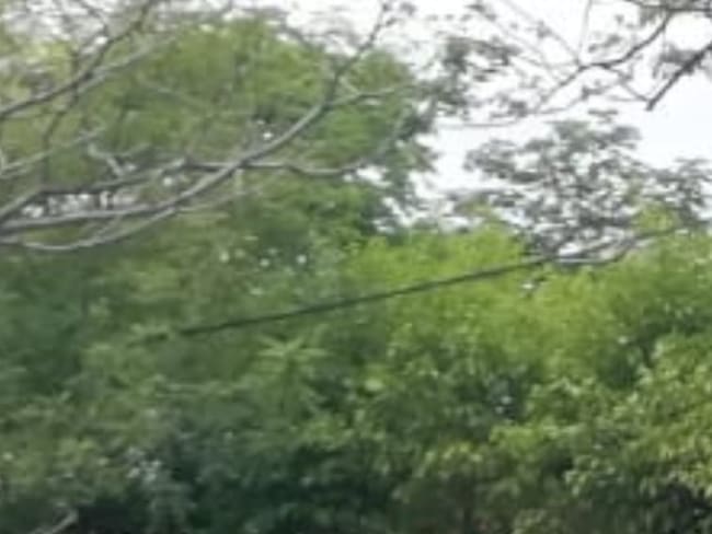 sin que ninguna entidad haga algo para dar solución a esta problemática.