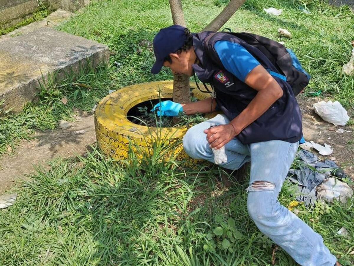 Aumentan los casos de dengue en Dosquebradas, tres barrios son los más afectados