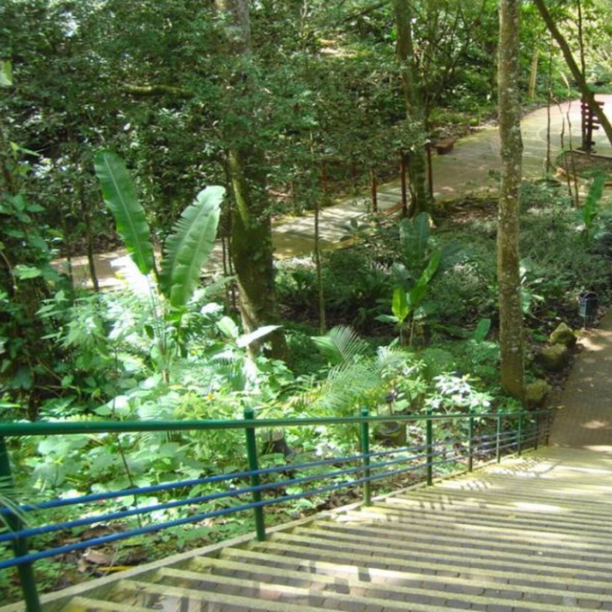 Por daños, cierran parque La Flora