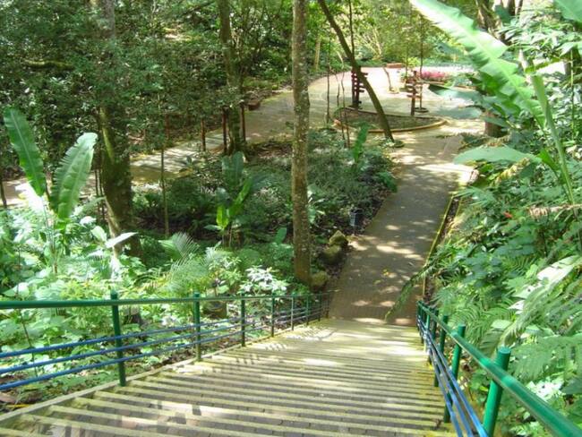 Por daños, cierran el parque La Flora