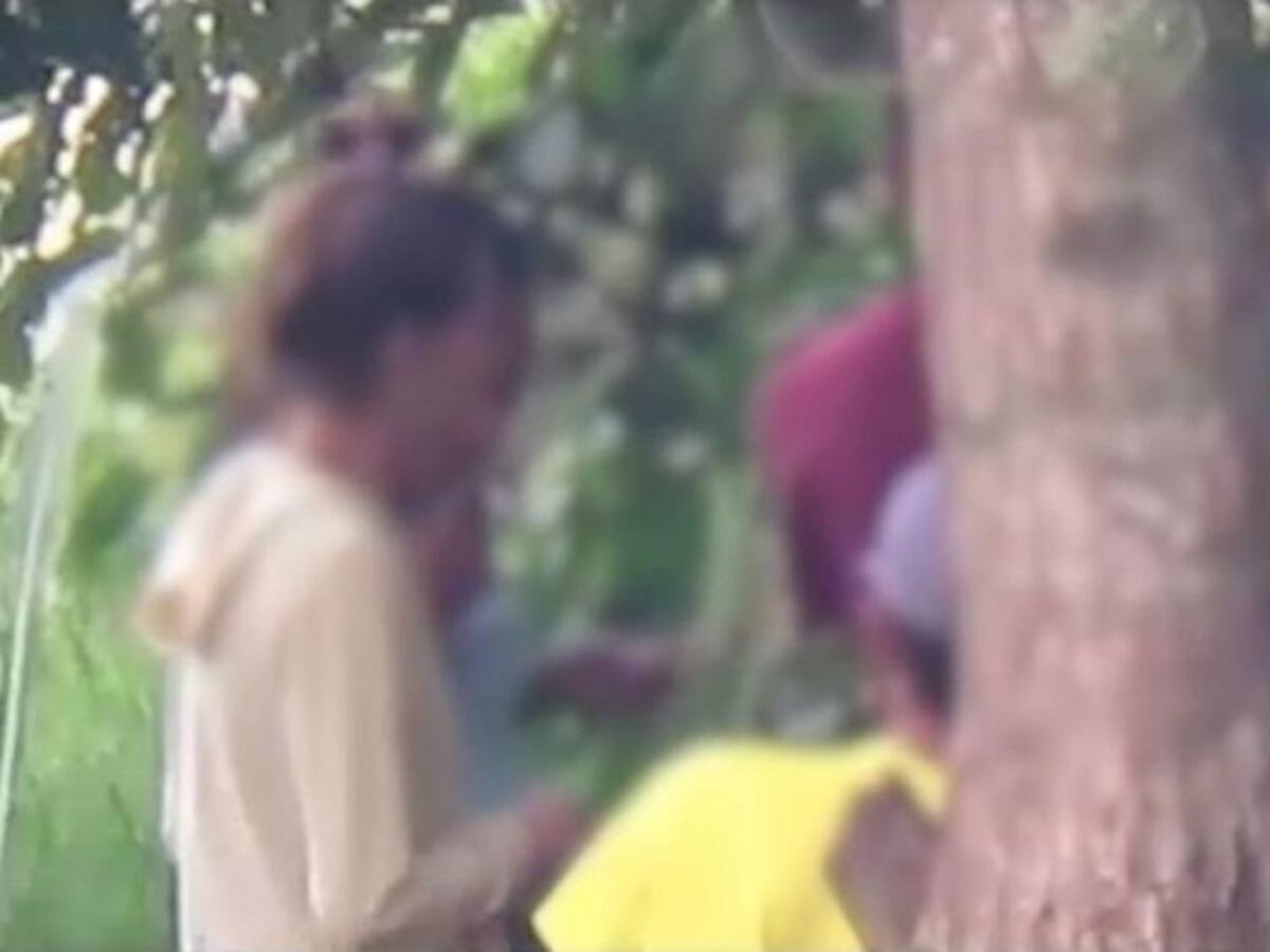 15 personas fueron capturadas al parecer por venta de drogas en Riosucio