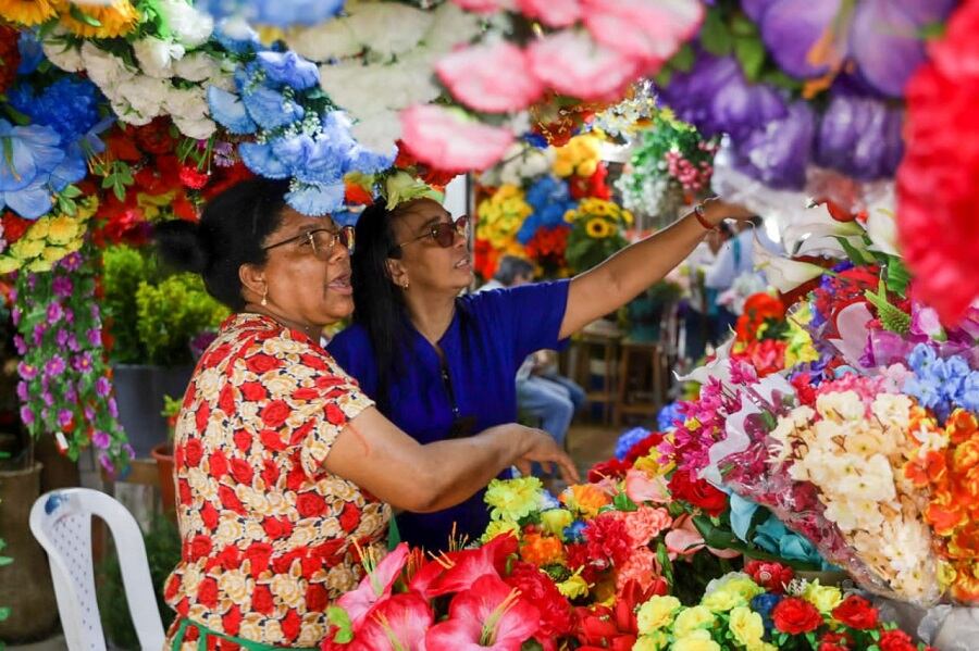 Alcaldía de Cartagena